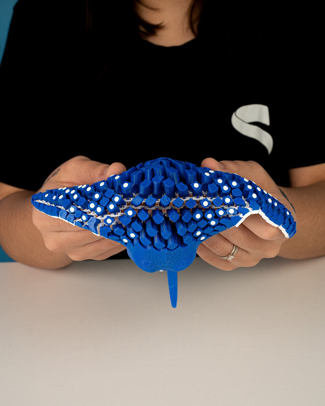 Igor the Spotted Eagle Ray (Flexi animal)