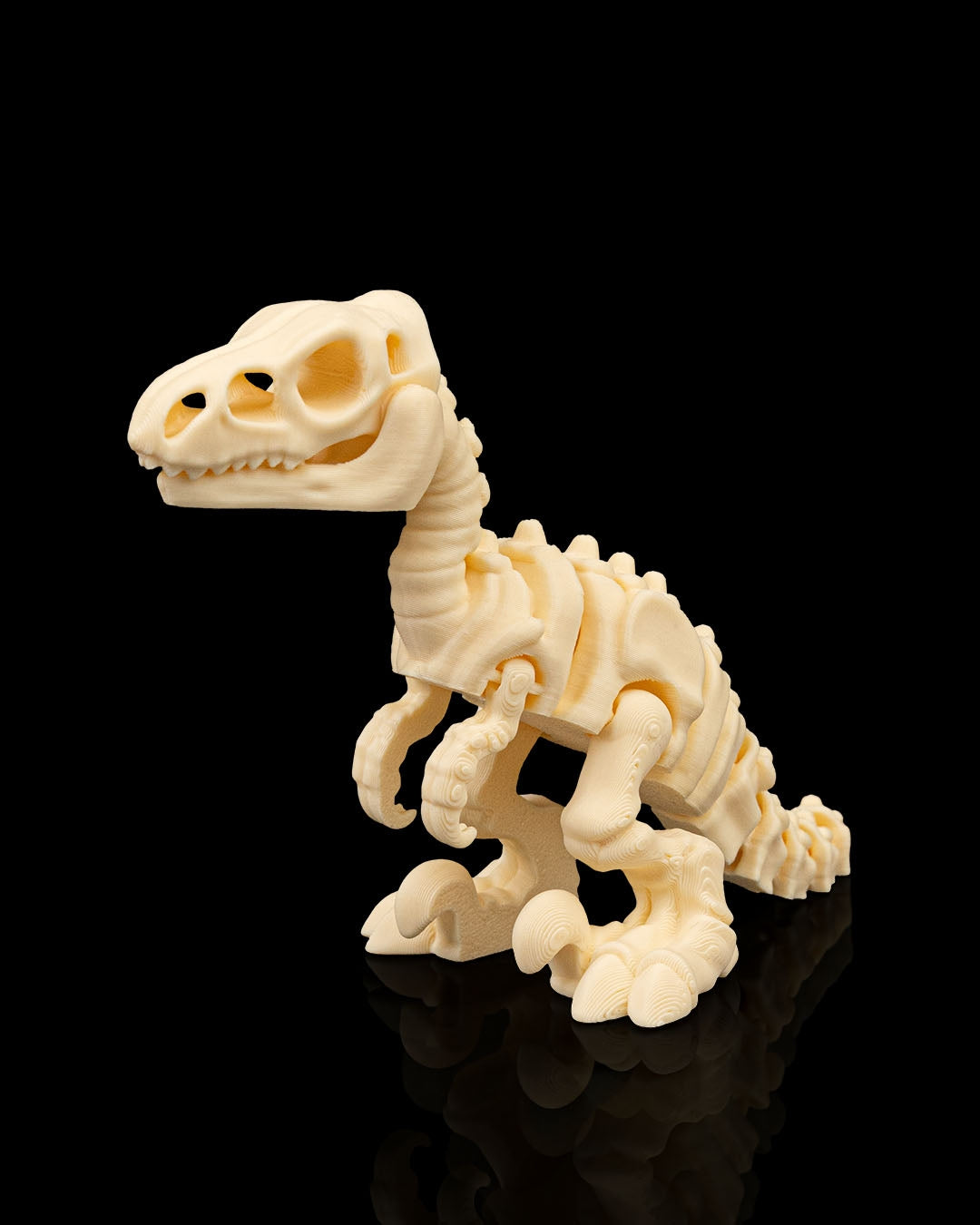 Skeleton Dinosaurs