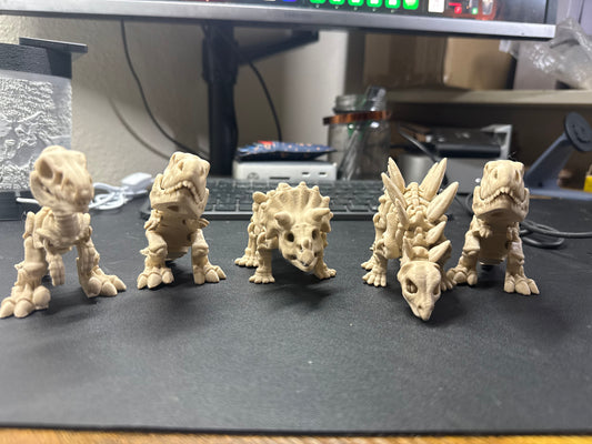 Skeleton Dinosaurs