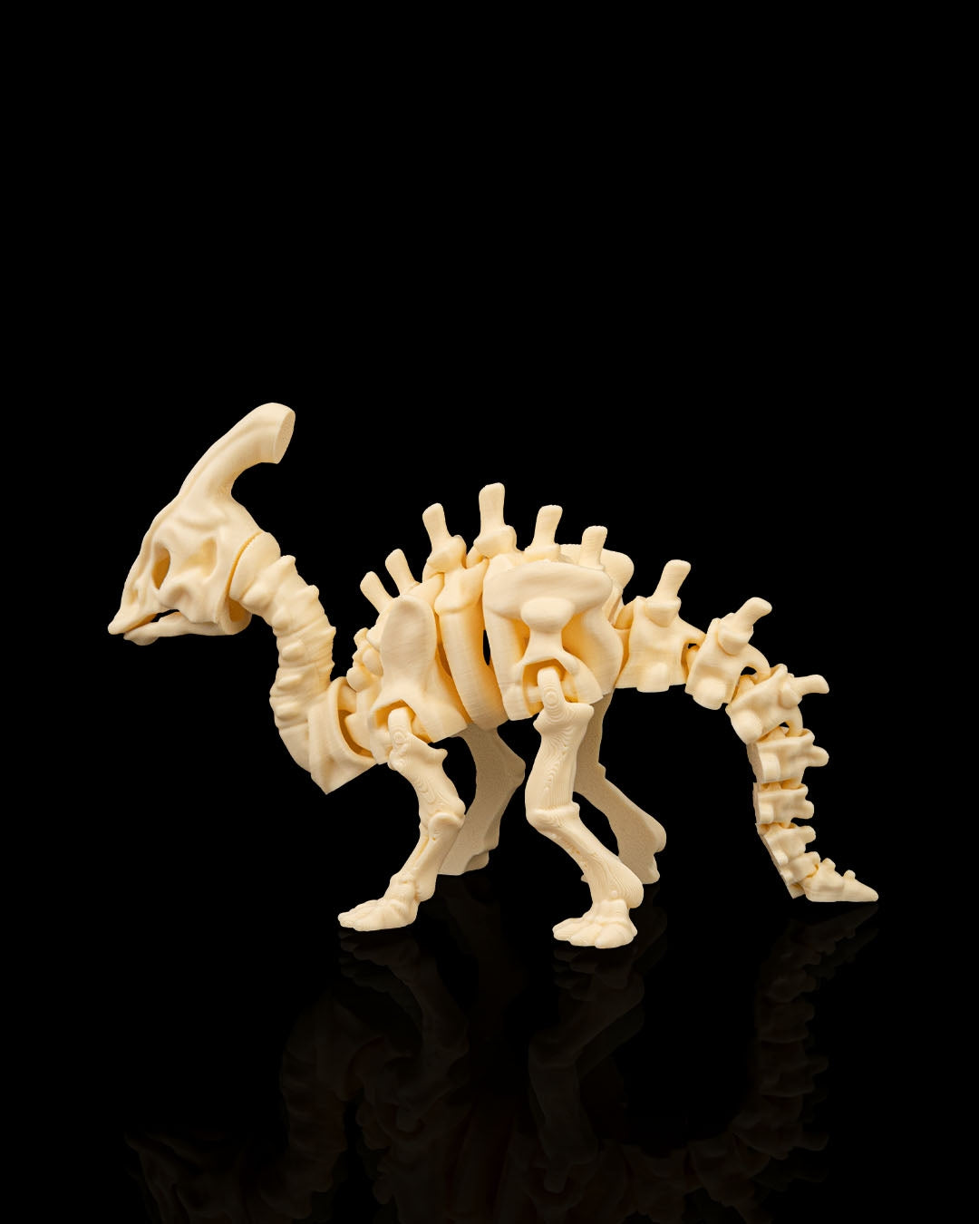 Skeleton Dinosaurs